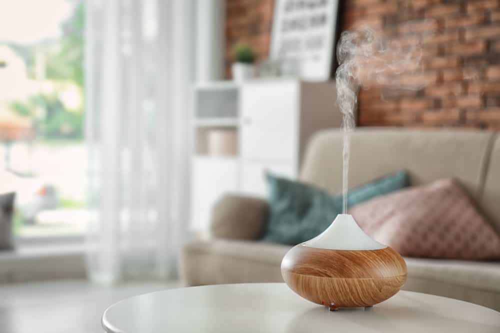 Bukan Hanya Melembapkan Udara, Ini Dia Fungsi Humidifier – Good Doctor