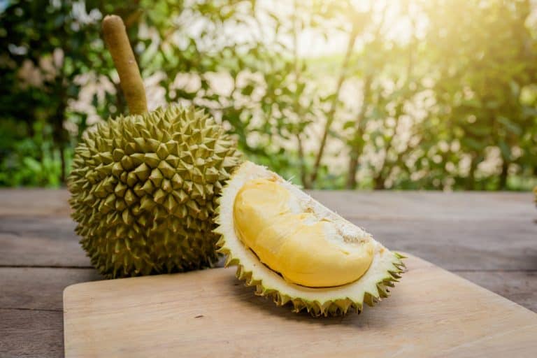 8 Manfaat Durian untuk Kesehatan Lancarkan BAB hingga Bantu Cegah