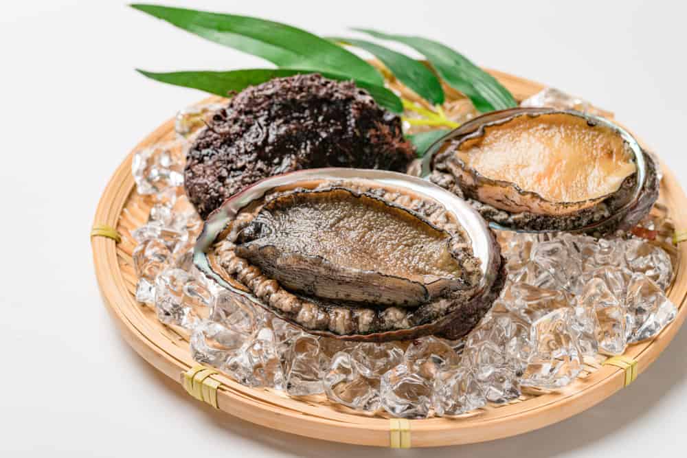 8 Manfaat Sehat Abalone  alias Siput Laut  Cocok untuk Diet 