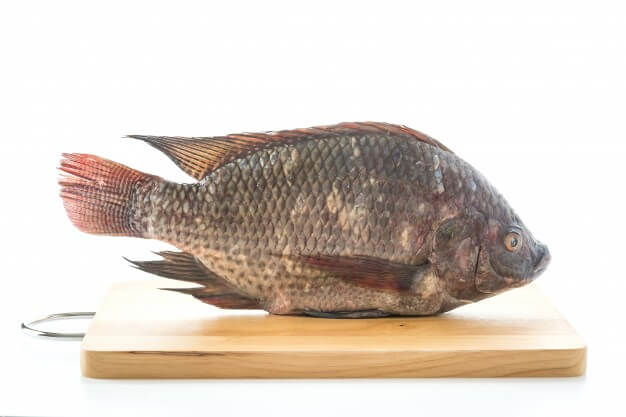 Murah dan Bergizi, Catat 6 Manfaat Ikan Tilapia bagi Kesehatan – Good